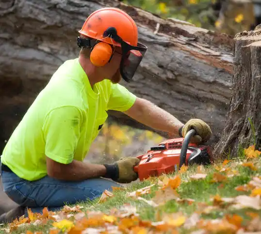 tree services Convent